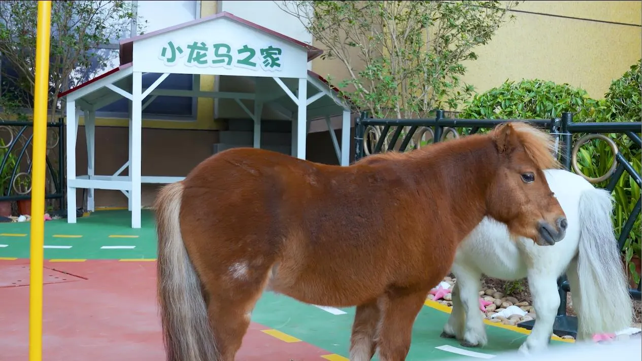 珠海長隆馬戲飯店（海洋王國） (14)