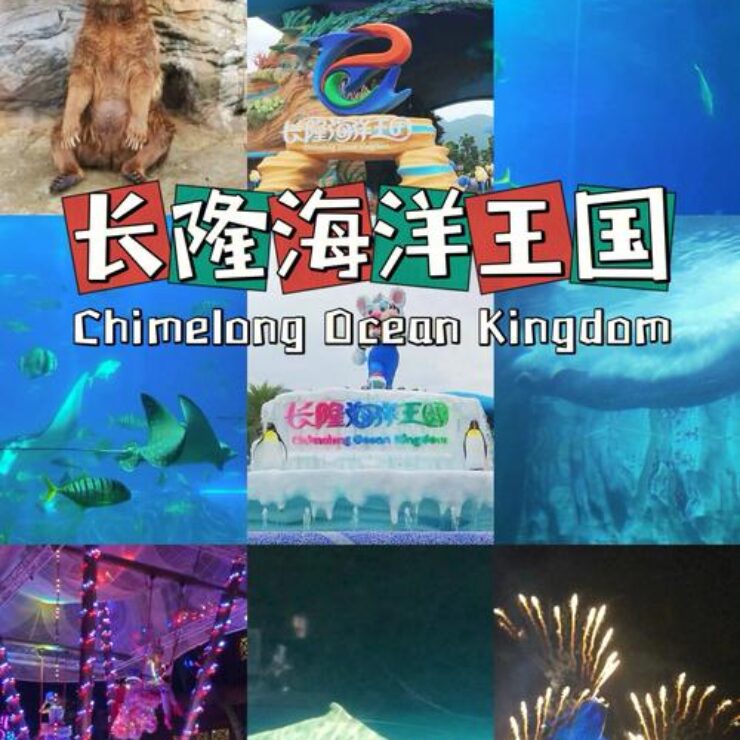 惊险刺激与海洋奇观：长隆海洋王国八大主题区终极指南